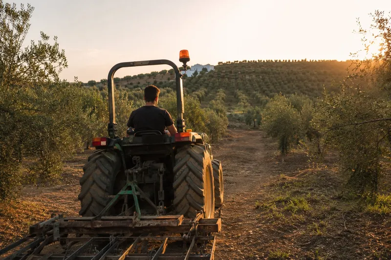 Financiación para jóvenes agricultores